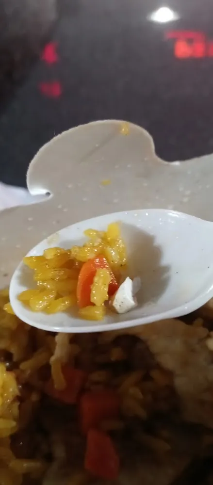 Chicken Fried Rice 12 15 2022 9 00pm